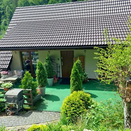 Lägenhet Nad Strumykiem *