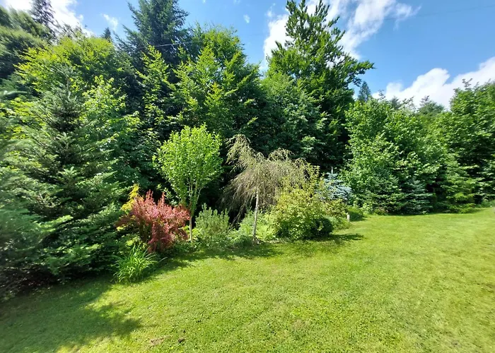 Nad Strumykiem Apartment *